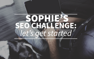 Sophie’s SEO Challenge: let’s get started