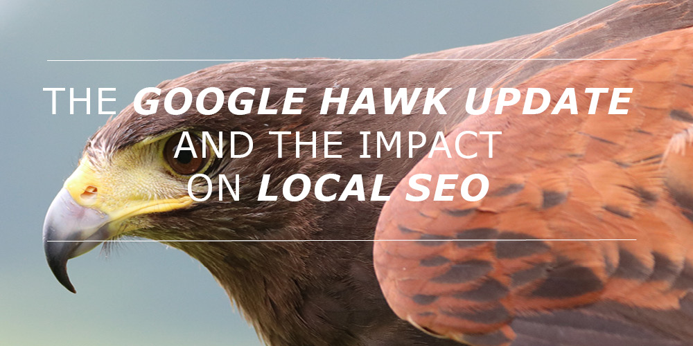 The Google Hawk Update and the impact on local SEO