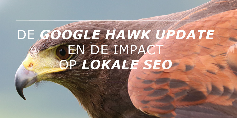 De Google Hawk Update en de impact op lokale SEO