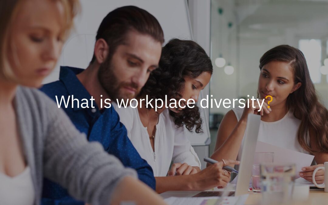 What is workplace diversity?